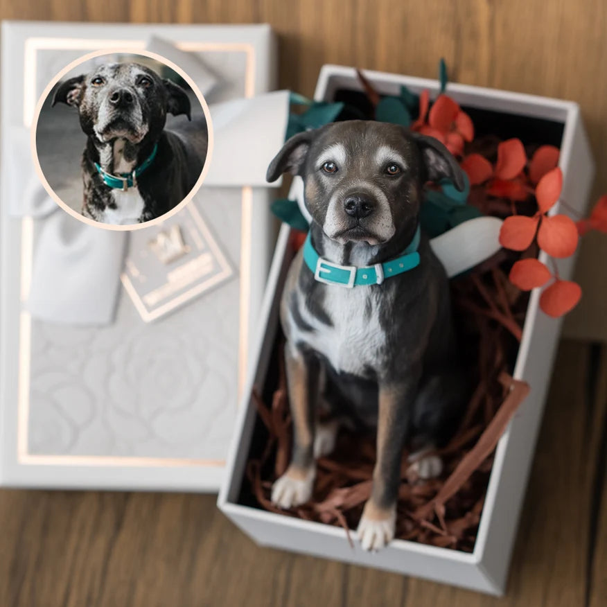 Eternize Seu Amor™ - Miniatura 3D Personalizada do Seu Pet 15 cm